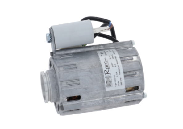 MOTOR R.P.M. 230V, 120W - 10056281