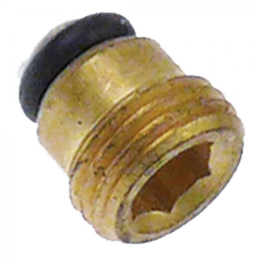Capac arzator pilot cu oring M10x1 - 101925