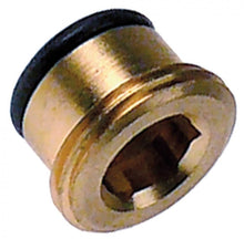 Capac cu oring, filet 3/8", hexagon 8, alama - 106702