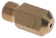gas injector M10x1 WS 12 bore ø 2,2mm