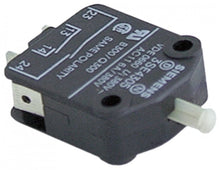 microswitch with plunger 250V 6A 2NO connection male faston 6,3mm