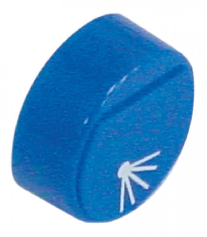 push button ø 23mm blue symbol after rinse - Code 345848