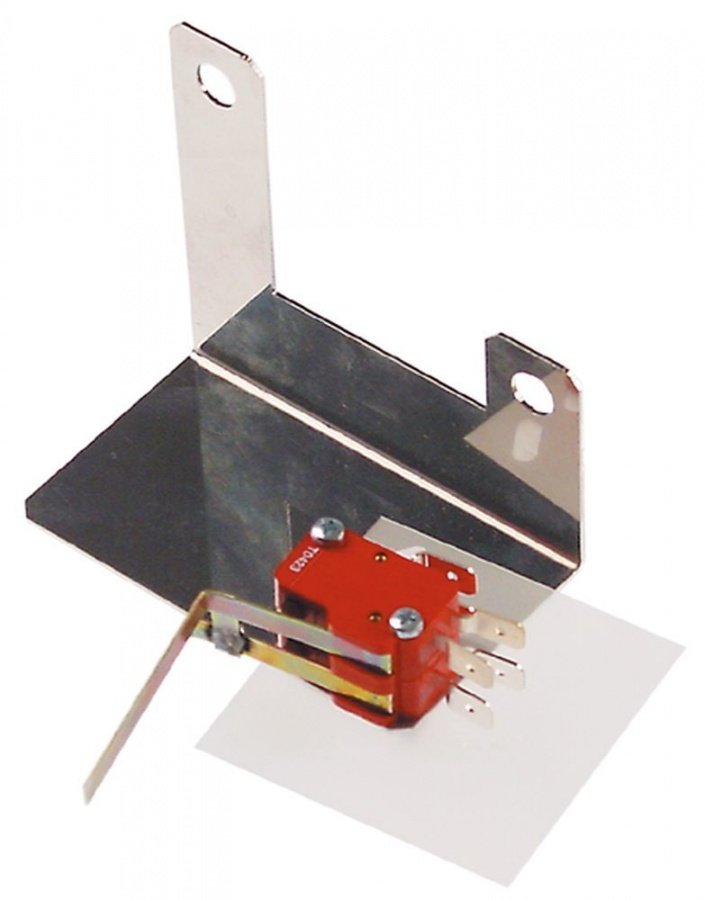 microswitch with lever 250V 10A connection male faston 6,3mm