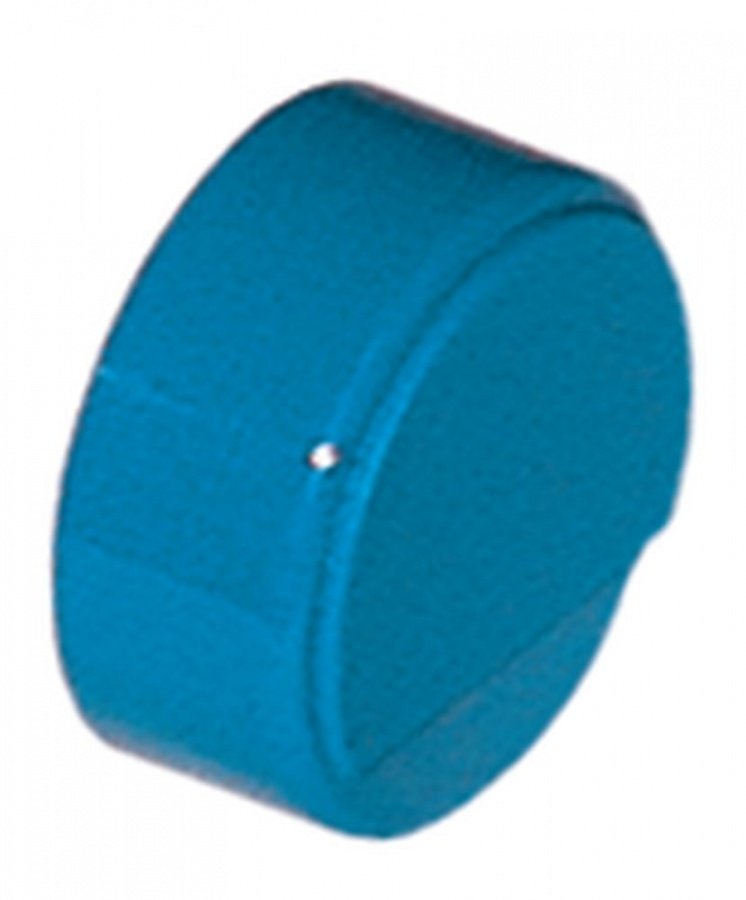 push button ø 23mm blue without lens - Code 346818