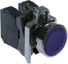 momentary push switch blue 1NO/1NC