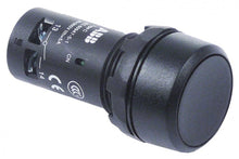 push switch ø 22mm black 2NO 300V 5A connection screw connection