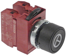 buton ø22mm complet simbol cu revenire 1NC/1NO