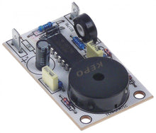 buzzer board 24V connection male faston 4,8mm