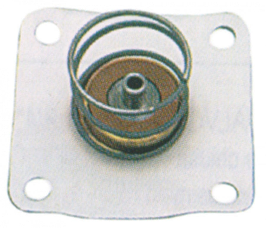 membrane connection 1" series L145-R membrane type PTFE