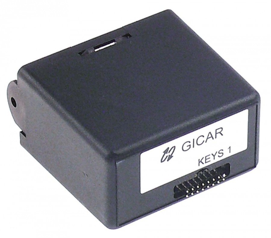 electronic timer