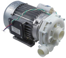pump inlet ø 45 mm outlet ø 40 mm type T75 230 V 50 Hz phases 1 0,75 HP L 283 mm - 499050
