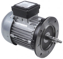 Motor pentru pompa, tip 1326, 1500 W, 220-240/380-415V, 50/60 Hz, cu 3 faze, 324818-34 Hobart - 499106