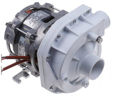 Pompa tip ZF320SX, intrere ø 45 mm, iesire ø 38 mm, 230 V, 50Hz, 1 faza, 0,55 kW, 0,75 HP, L 205 mm - 499154 