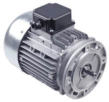 Motor tip T90S4T, 230/400, 275/480 V, 1100 W, 50/60Hz, 1410/1710 rpm, 4,5/2,6-4,0/2,3A - 499224