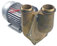 pump inlet ø 2¼" outlet ø 2" type CF1402 230/400V 50Hz 3 phase 0,9kW L 360mm - 499234