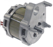 motor 230V 50Hz OG30E - 499325