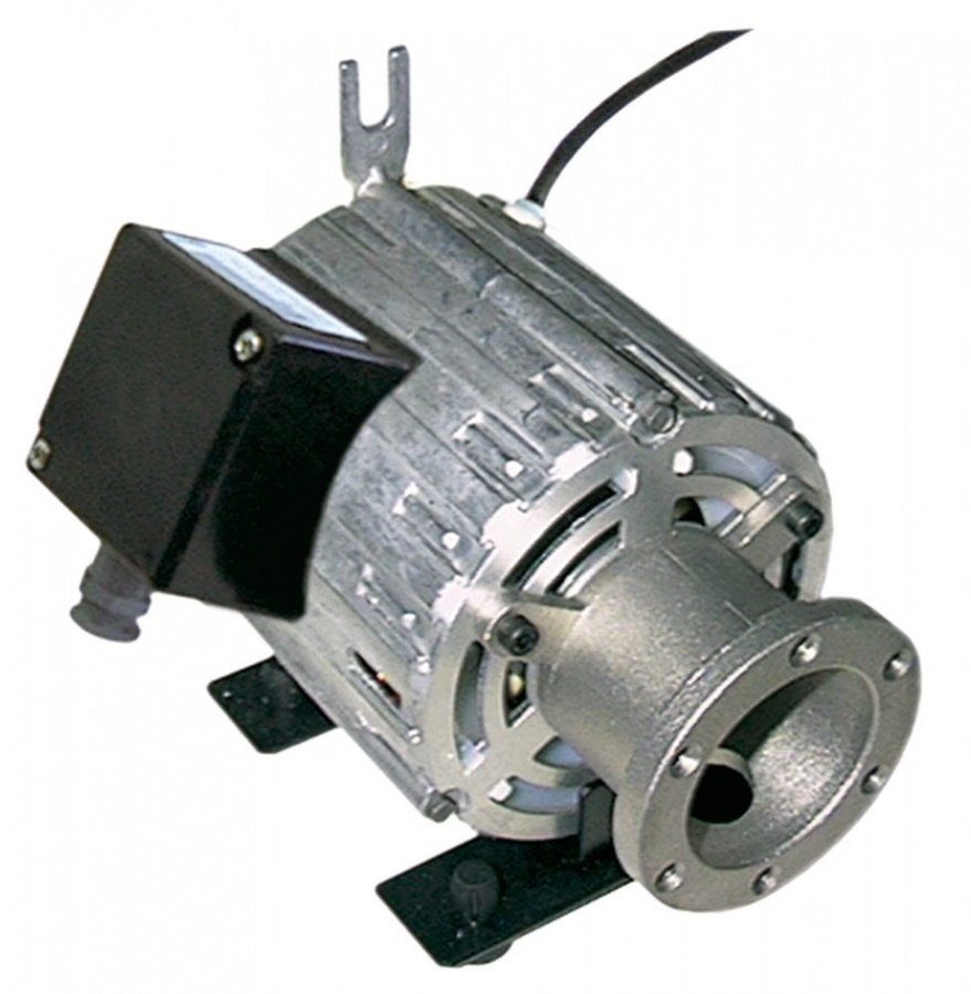 Motor pompa 11039007, 150 W, 230 V, 50 Hz - 500081