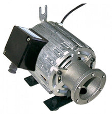 Motor pompa 11039007, 150 W, 230 V, 50 Hz - 500081