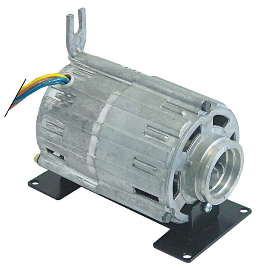 Motor pompa C004320, 120 W, 230 V, 50/60 Hz - 500317