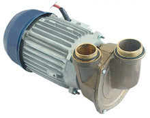 Pompă intrare ø 1½" ET mm ieșire ø 1¼" ET mm - 500335