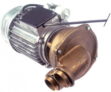 Pompa de presiune, tip 0338/SM024 - Cod 500451
