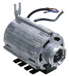 Motor pompa C004311, 100 W, 230 V, 50/60 Hz - 500452