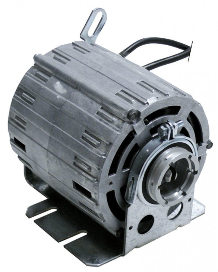Motor pompa 11002778, 165 W, 230 V, 50 Hz - 500458