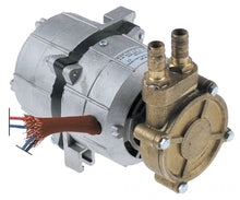 Pompa de presiune, Alba Pumps (C&A), tip C.4035 - Cod 500478