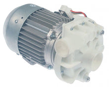 Electropompa 0,9 Kw, 1,2 Hp, 230 V, intrare ø 50 mm, iesire ø 37 mm - 500560