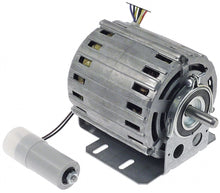 gear motor 230V