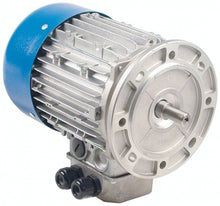 motor 2 speeds 0,6/0,8kW 400V 50Hz 3 phase shaft ø 14mm flange ø 160mm 1400/2800rpm
