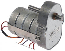 motoreductor 230V 50/60Hz