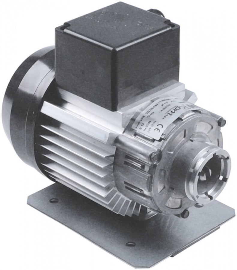 Motor pompa presiune RPM Type C008406, 300 W, 230V, 1340 R/min - 504365