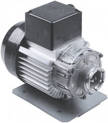 Motor pompa presiune RPM Type C008406, 300 W, 230V, 1340 R/min - 504365