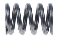 spring ø 17 mm L 25 mm wire gauge ø 2,5 mm - Code 529289
