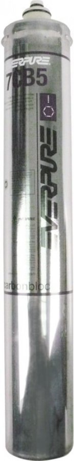 Filtru apa EVERPURE type 7CB5 capacitate 37854l - Cod 530236