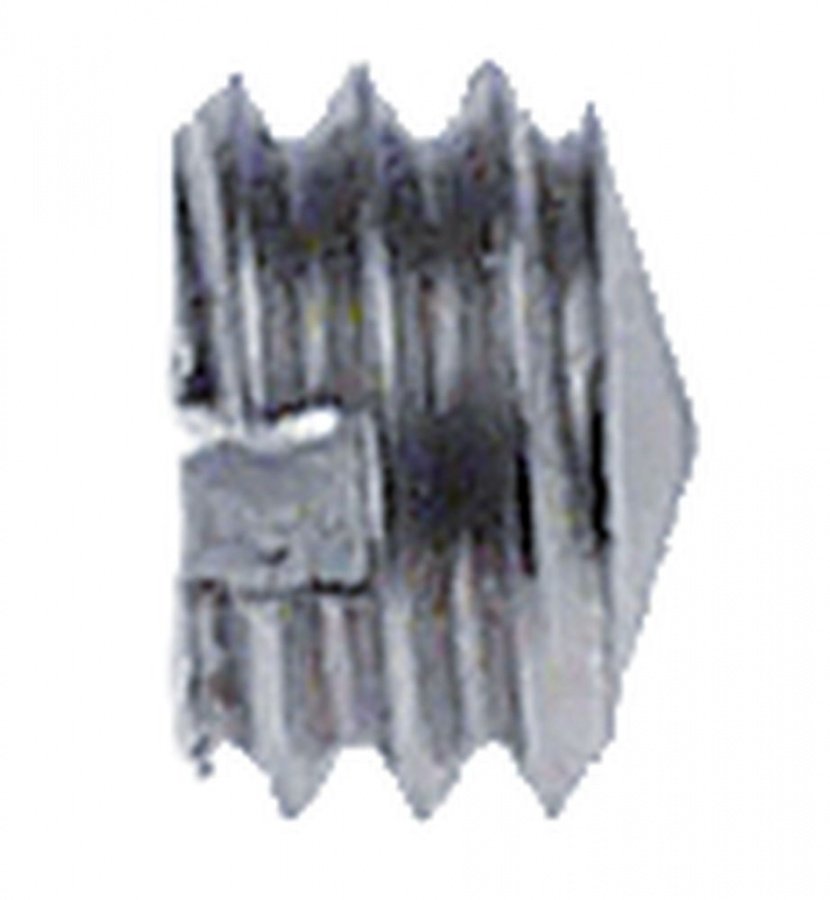 grub screw M6 L 4mm SS Qty 1 pcs with spike WS 3