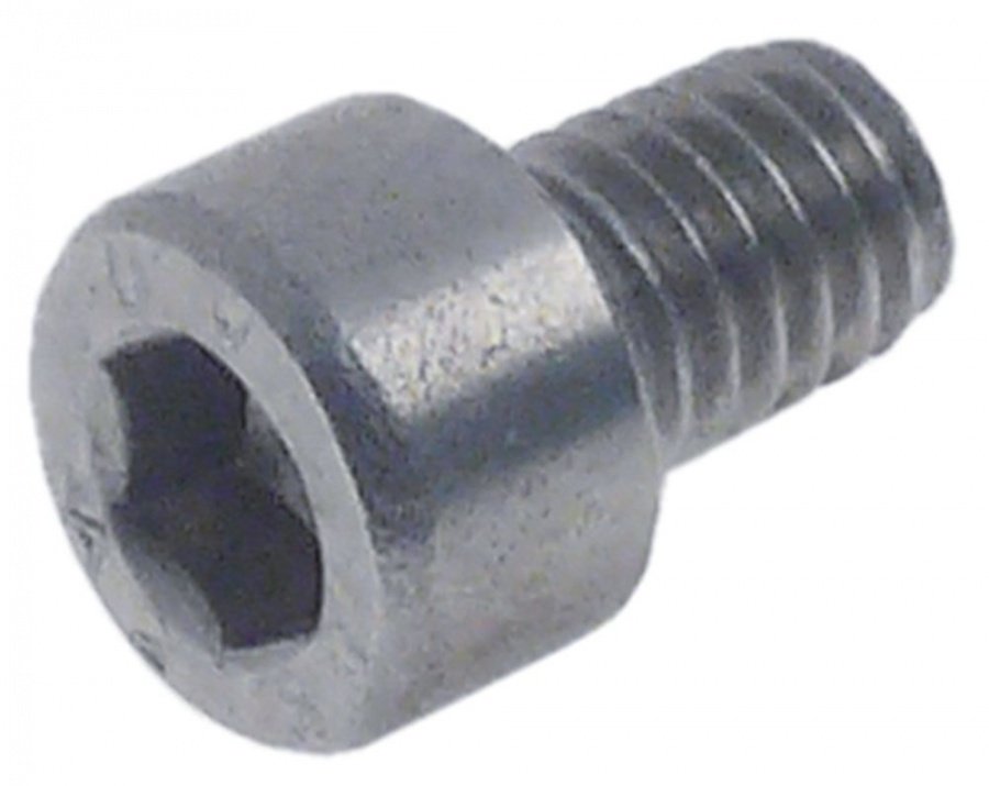 cylinder head bolt M6 thread length 8mm L 14mm WS 5 SS Qty 1 pcs intake hexgonal