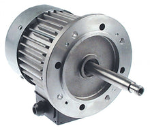 fan motor 230/400-415V 3 phase 50/60Hz 0,25kW 1400/1600rpm speeds 1 L1 175mm L2 70mm L3 27mm