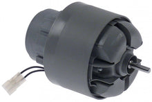 motor 230V 50Hz ø ax 12mm ROBOT COUPE