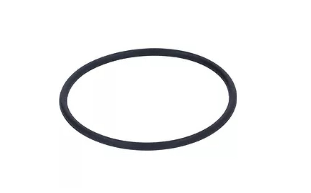 GUARN. OR3193 VITON x MACININO - 670352