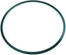 Round belt ø 8mm L 730mm - 691232