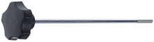 Locking screw thread M6 L 220mm - 697705