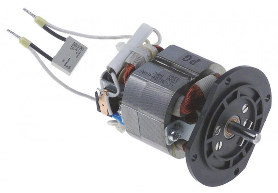 Motor 230V 125W 50Hz shaft ø 6,3mm mounting distance 60mm H 86mm - 698257