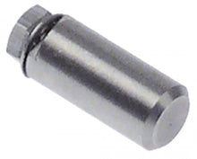  Bolt for door hinge ø 10mm L 21mm thread M5 mounting pos. bottom Qty 1 pcs - 701193