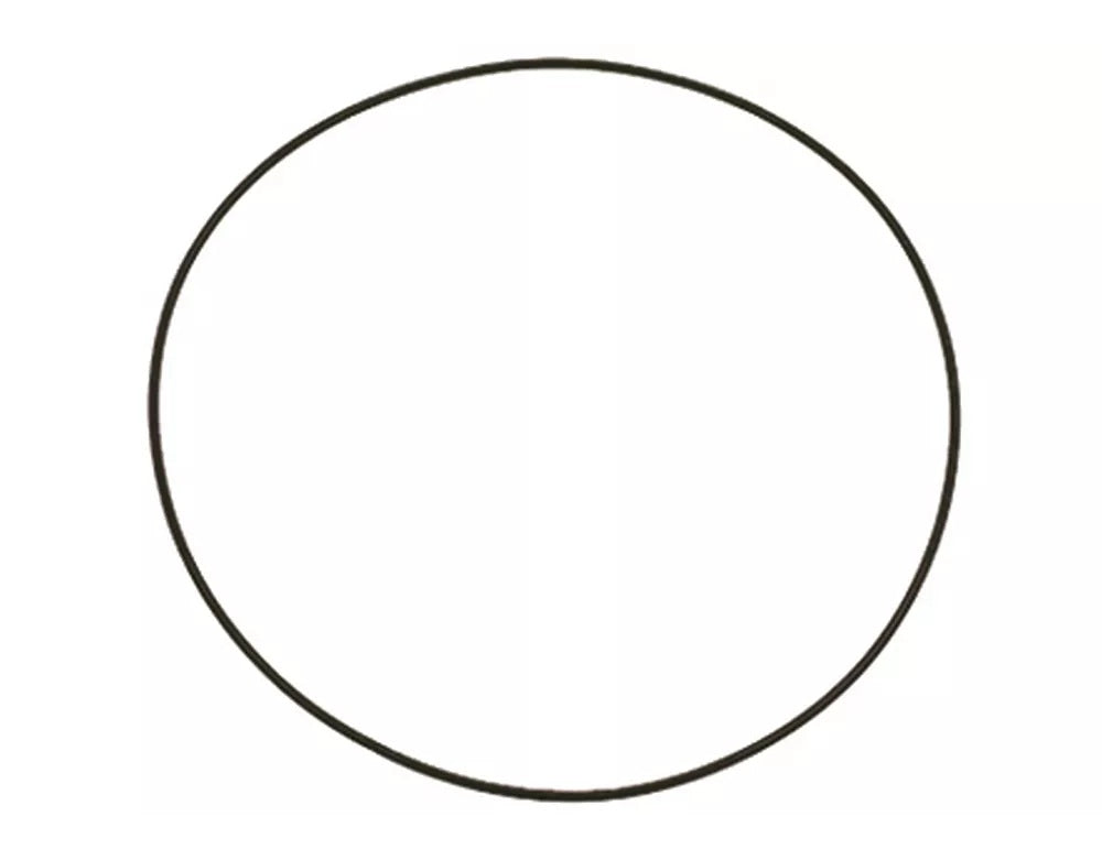 O-RING T30-1297 D.2 - Eurotec Dishwashing 456031 - 703955