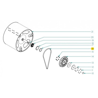 Curea POLY V 6PJ1200, L 1200mm, cu 6 nervuri - 12151682